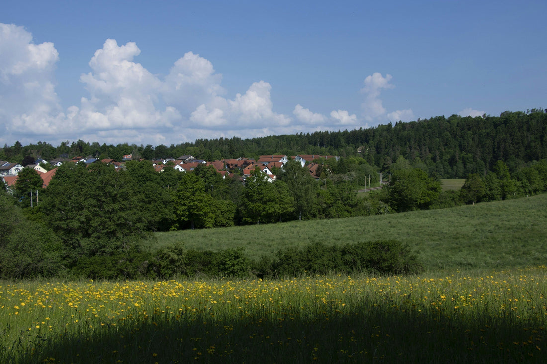 Couvreur Aigremont